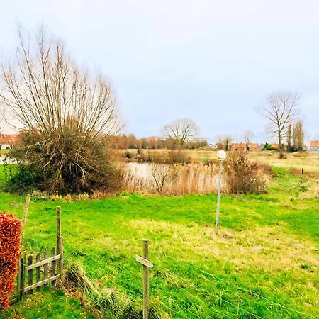 Condor 20 P Nieuwpoort